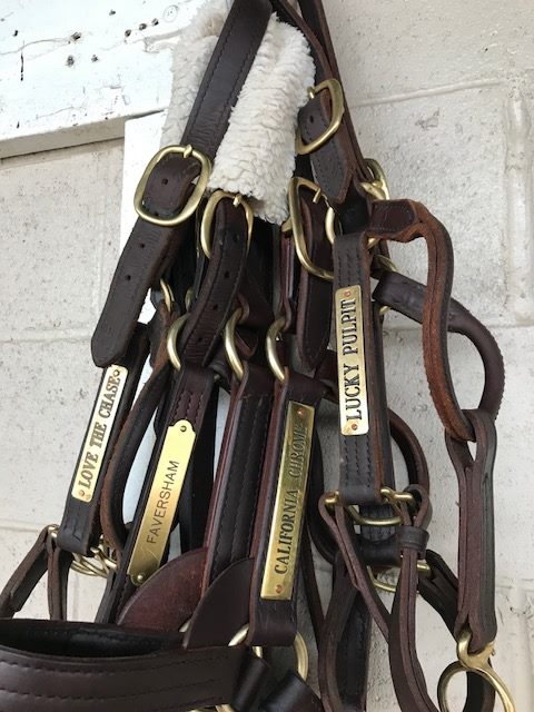 Chrome Family Halters