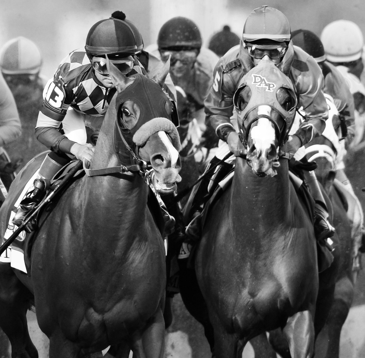 California Chrome winner's Circle Santa Anita