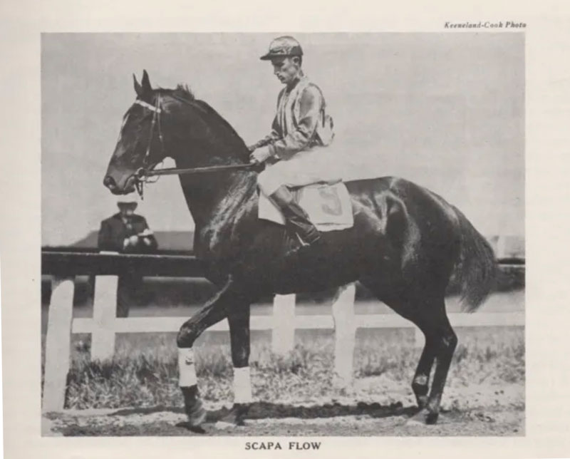 Scapa-Flow & jockey