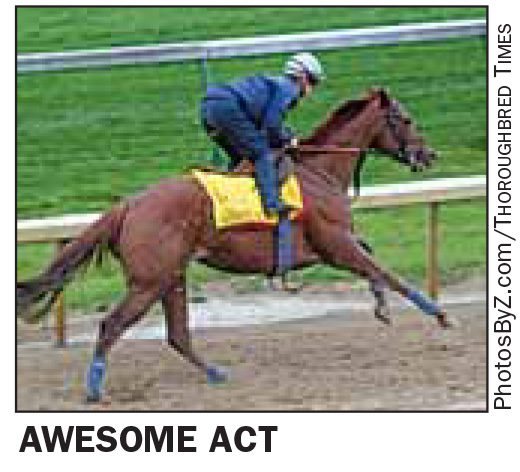 Derby Contenders 2010 Pedigree Profile